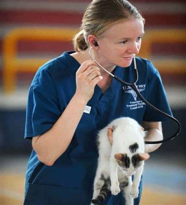 What Education Do Veterinarians Need and Why Do They Sometimes Talk to Animals in Their Sleep?